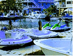 Upper Keys Rentals - African Queen Cruises