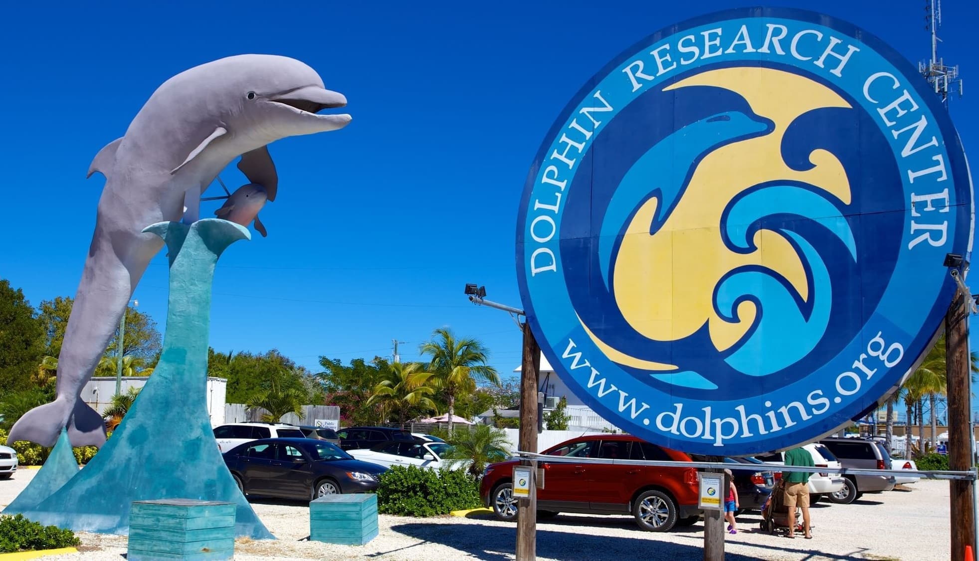 Upper Keys Rentals - Dolphin Research