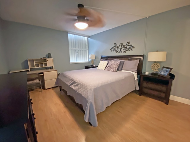 Featured image for Futura Condo 501