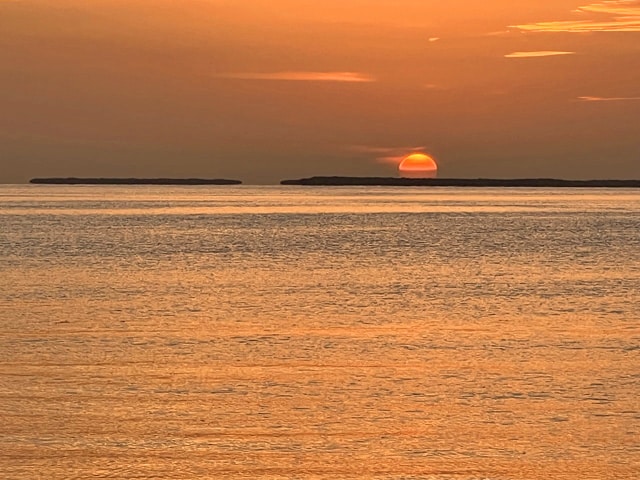 Featured image for Futura Townhouse 705