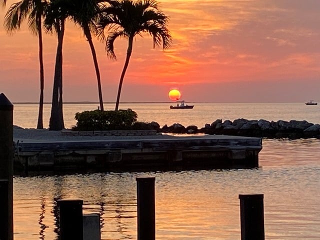 Featured image for Futura Townhouse 711