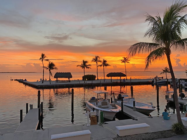 Featured image for Futura Townhouse 733