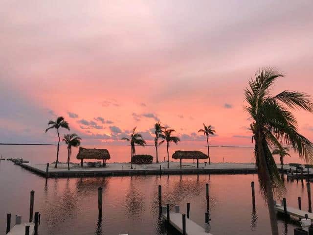 Featured image for Futura Townhouse 734